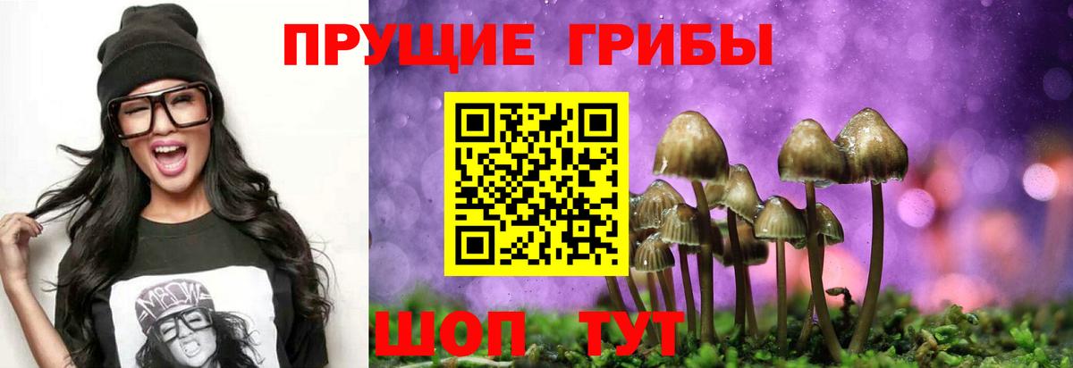 Псилоцибиновые грибы ЛСД Касимов