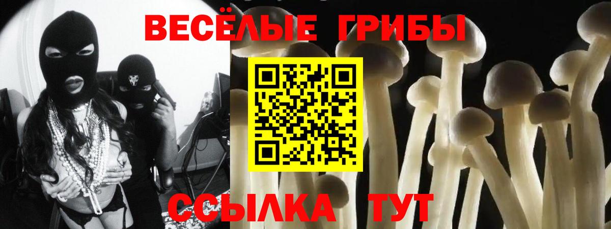 Касимов  Псилоцибиновые грибы мицелий  Галлюциногенные грибы MAGIC MUSHROOMS  Вход с VPN 